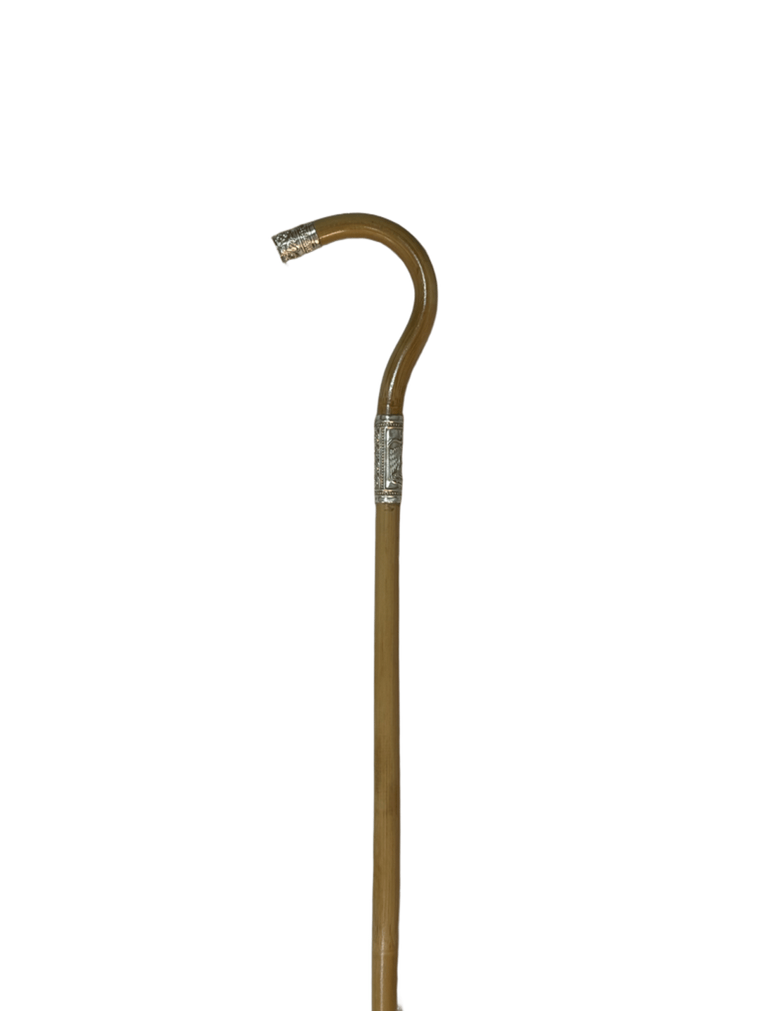 Natural Bamboo Cane with Silver - 2