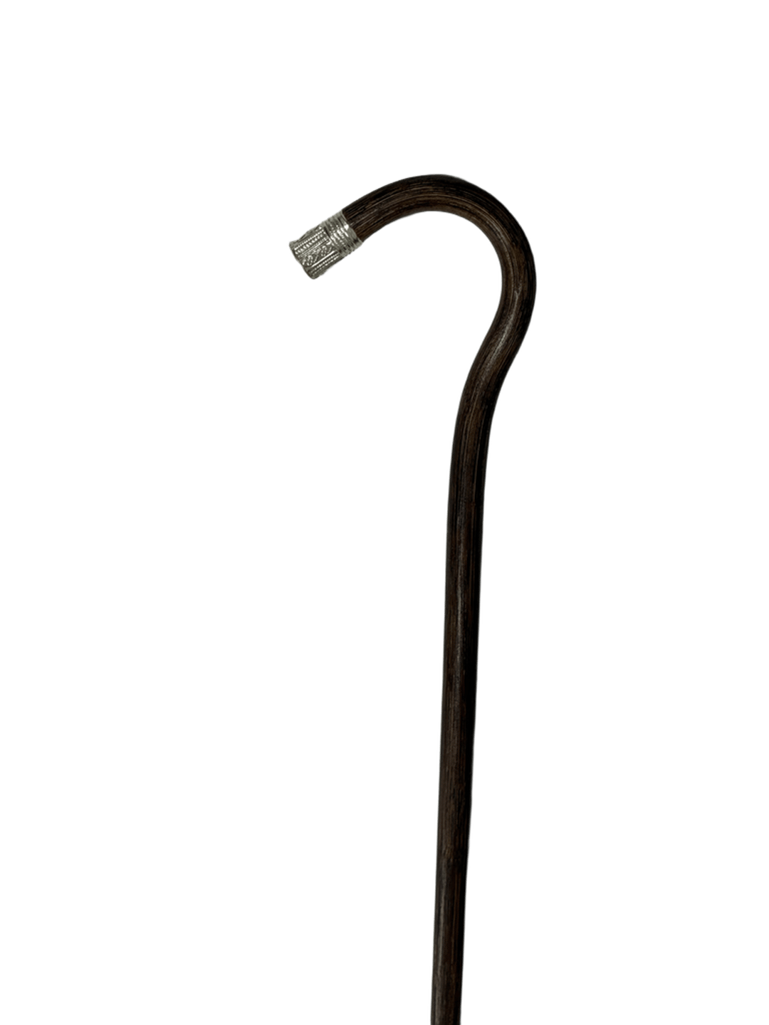 Brown Bamboo Cane with Silver - 2