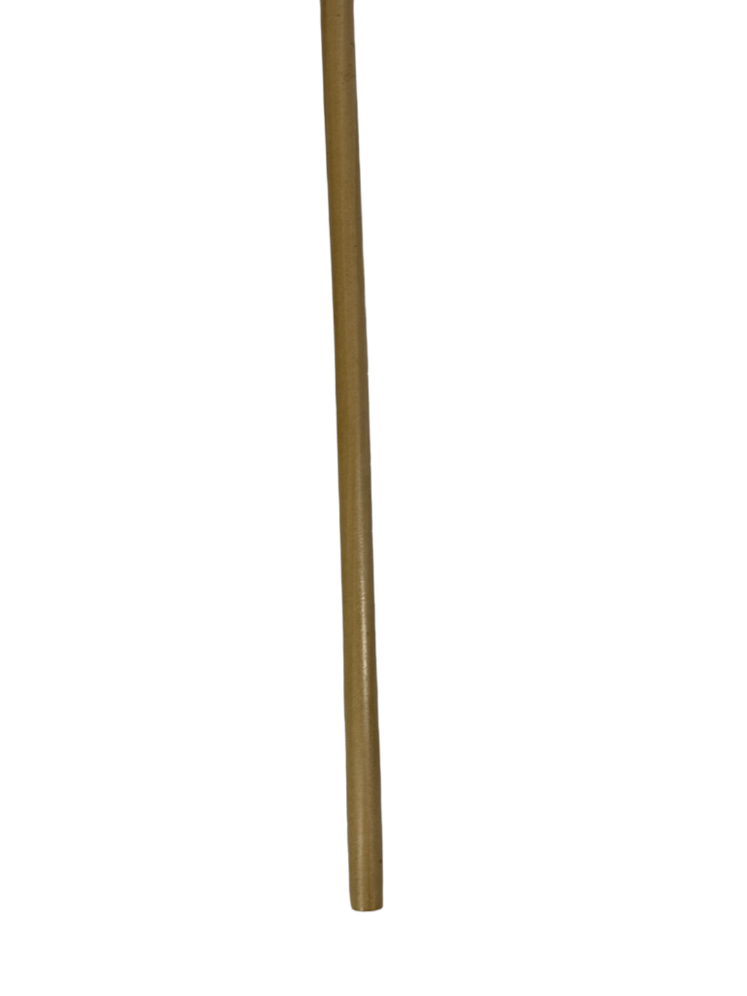 Plain Carved Atam Wood Cane – Natural Color (Y1) - 3