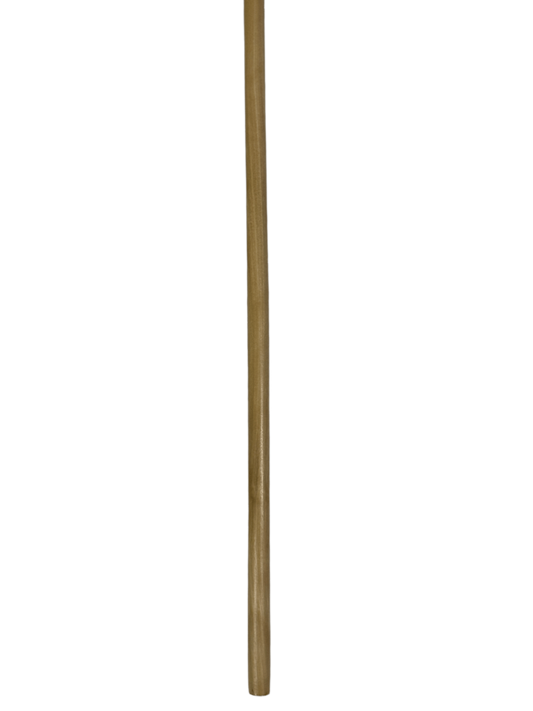 Plain Carved Atam Wood Cane – Natural Color (Y4) - 3