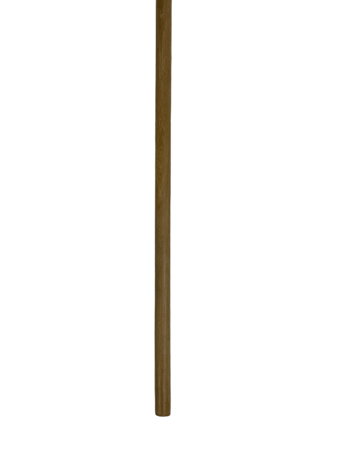 Plain Carved Olive Wood Cane – Natural Color (F1) - 3