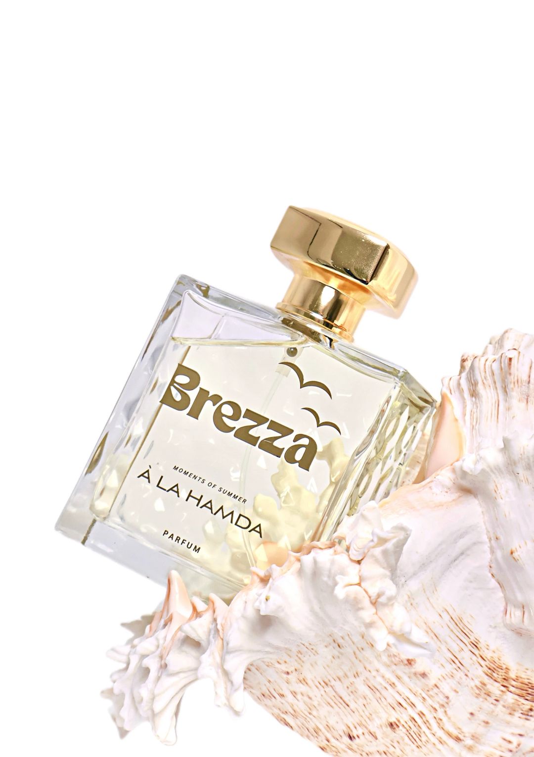 Brezza - Eau de Perfum (100ml) - 3