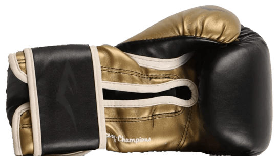 Floyd Mayweather Signed Boxing Glove (BECKETT) - 4