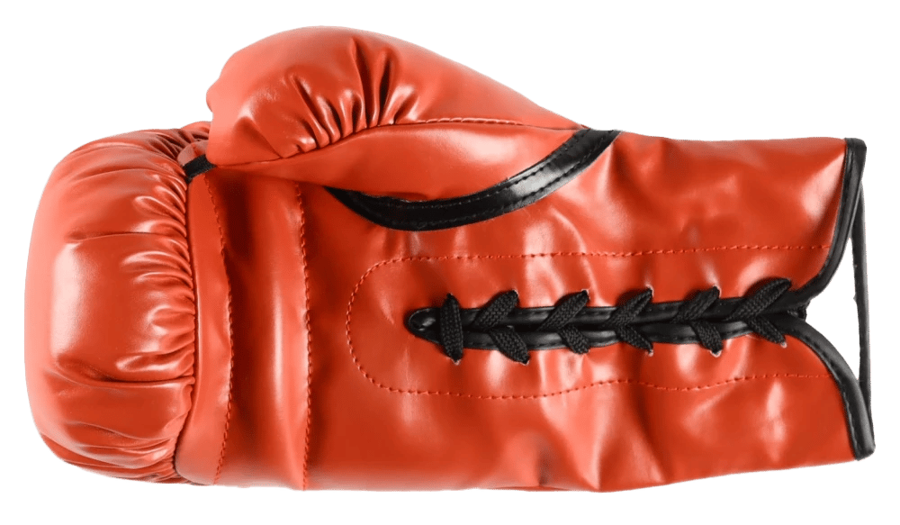 Sugar Ray Leonard & Thomas Hearns Signed Boxing Glove (JSA) - 4