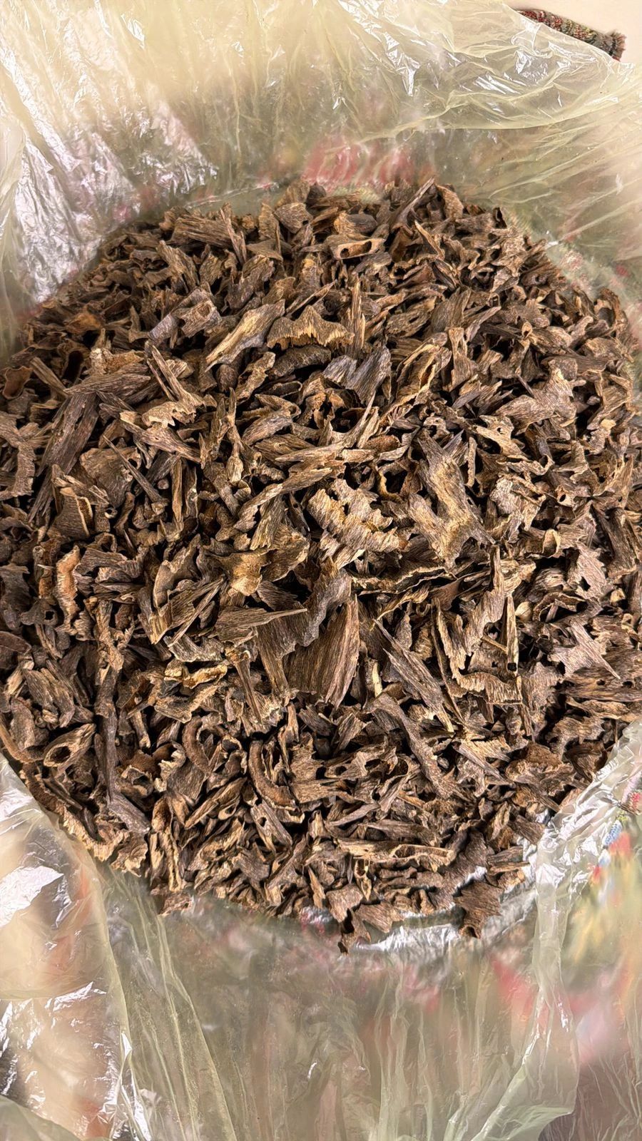 فيزا موري - 2