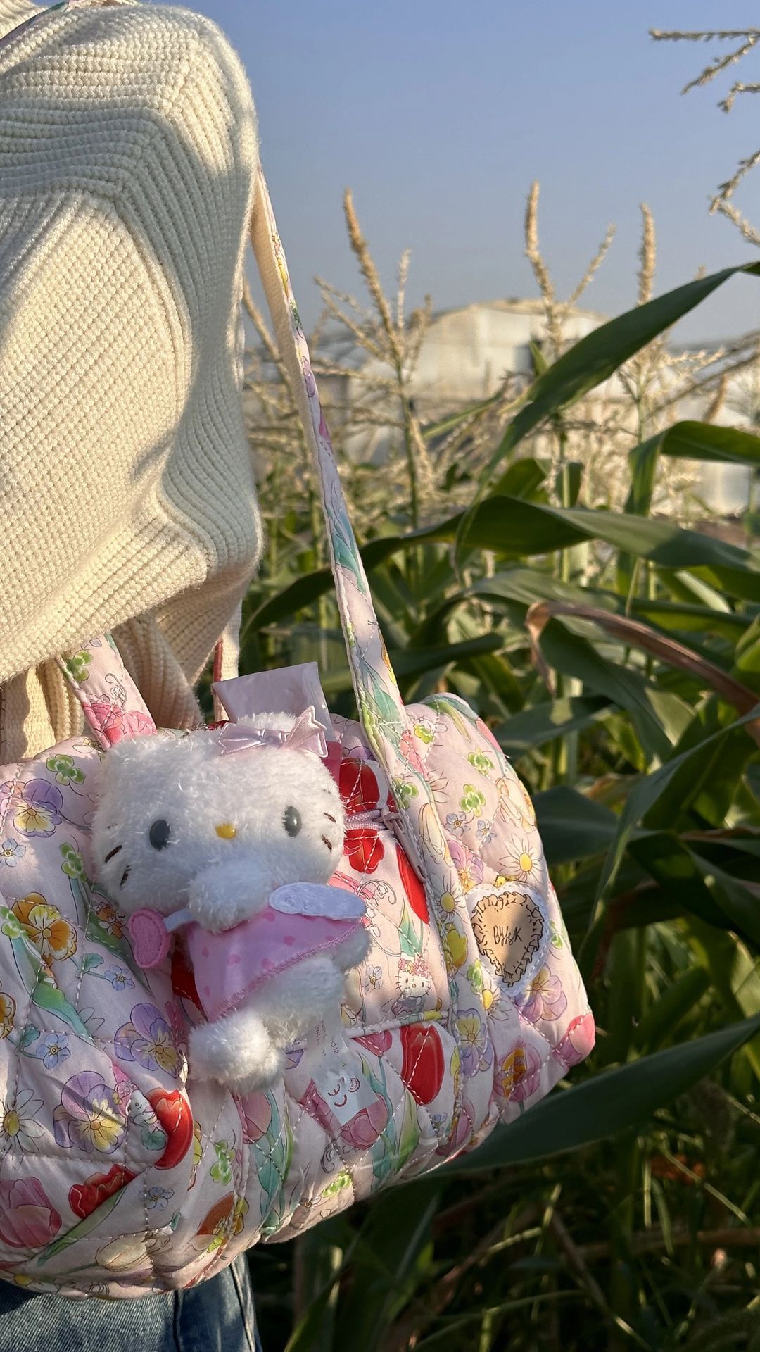 Fairy Sanrio charm 🧚‍♀️ - 2