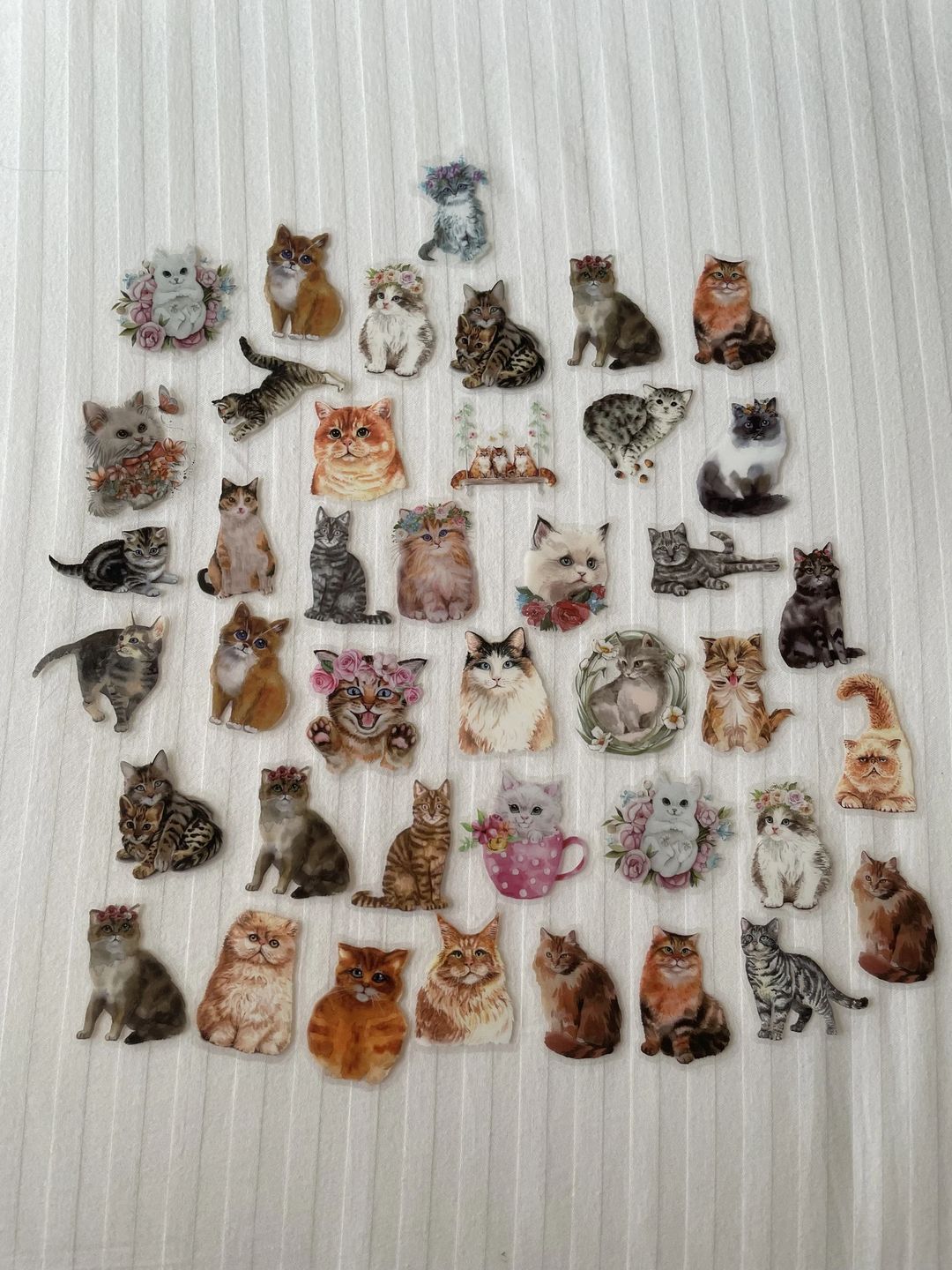 Random cat stickers - 1