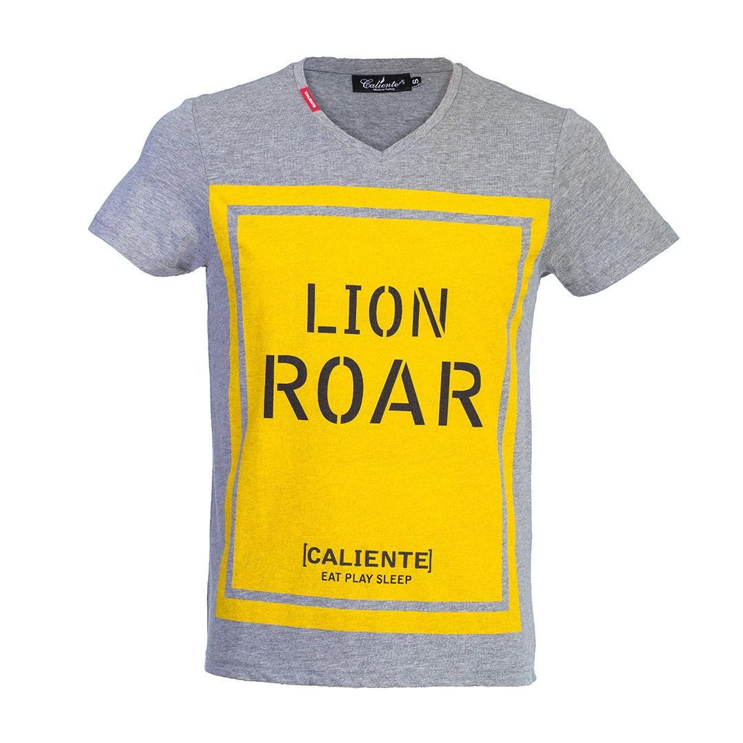 Lionroar Grey - 1