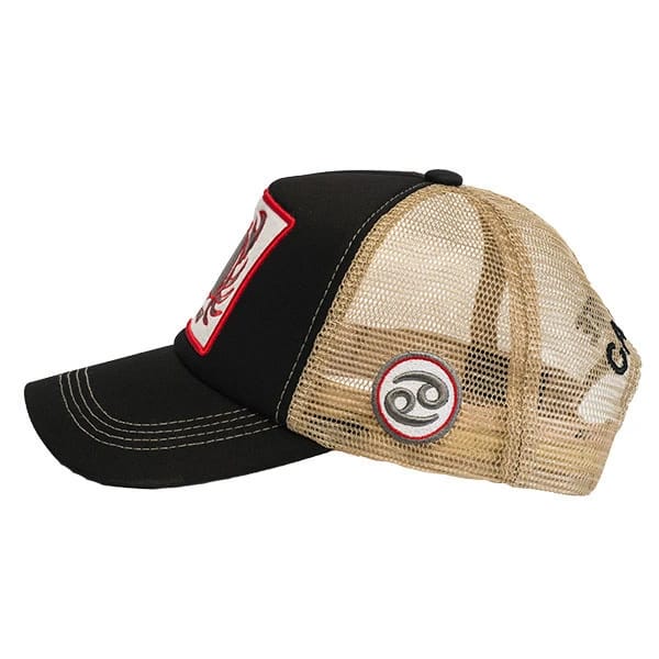 Cancer Black/Beige - 2