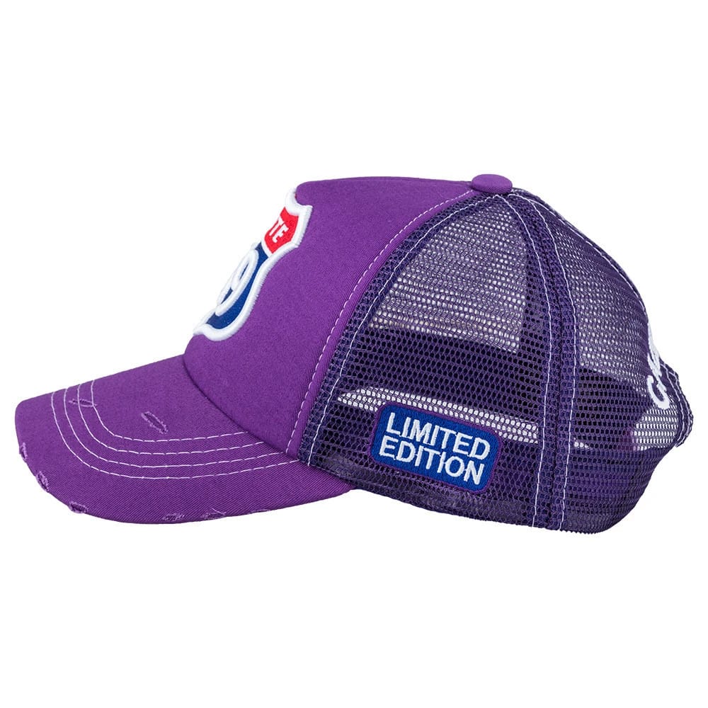 Route 69 Purple - 1