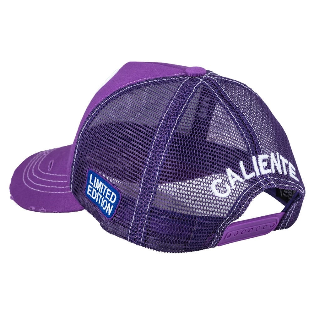 Route 69 Purple - 2