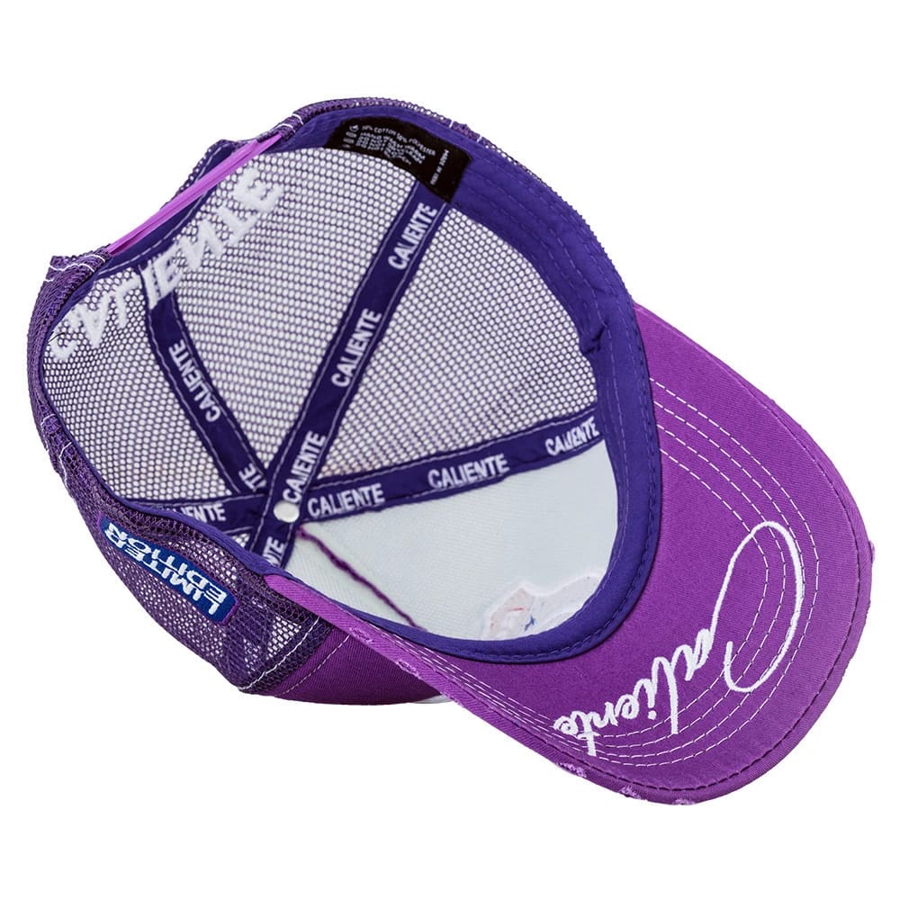 Route 69 Purple - 3