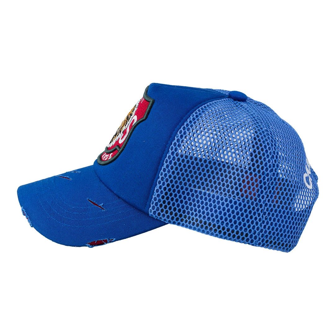 Lion HS Blue - 2