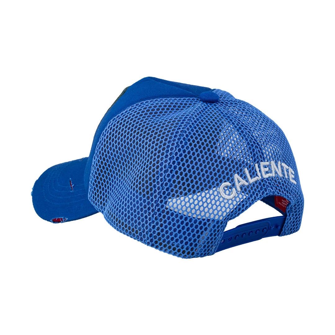 Lion HS Blue - 3