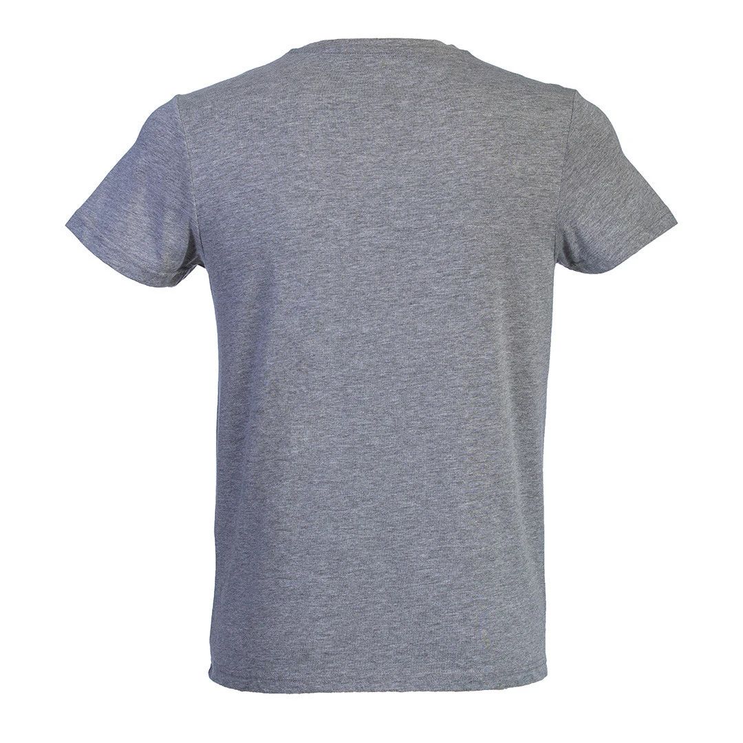 Lionroar Grey - 3
