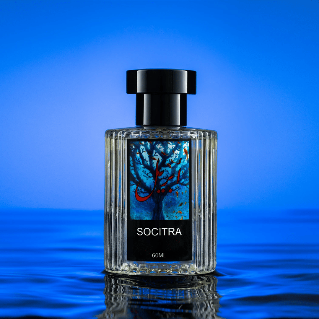 سُقطرى | SOCITRA - 1