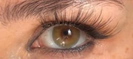 Morocco Brown - 1
