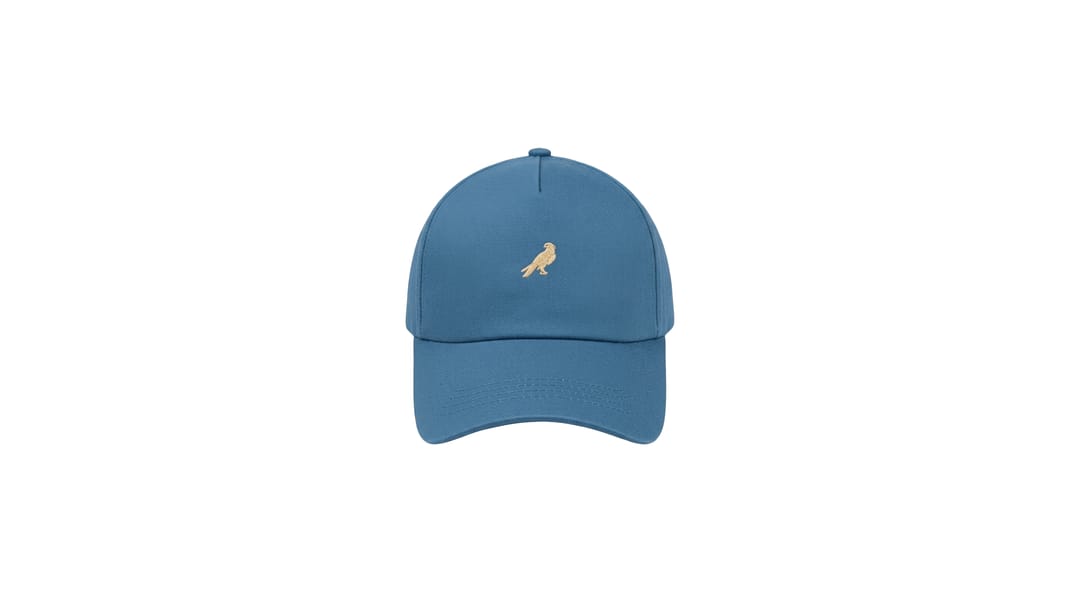 BIRD 3 - 5