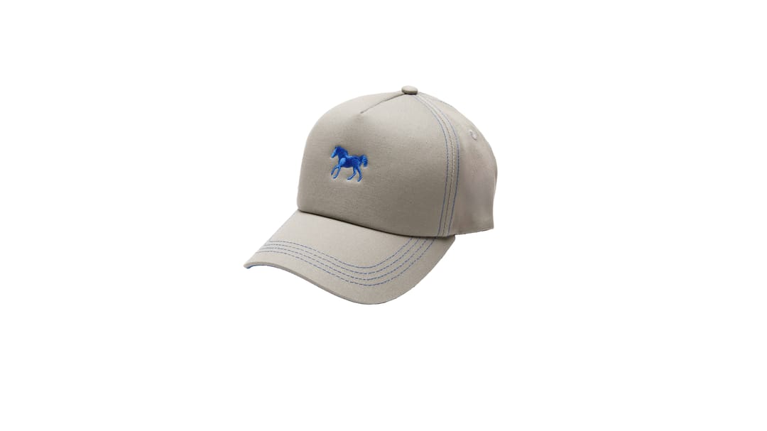HORSE 10 - 2