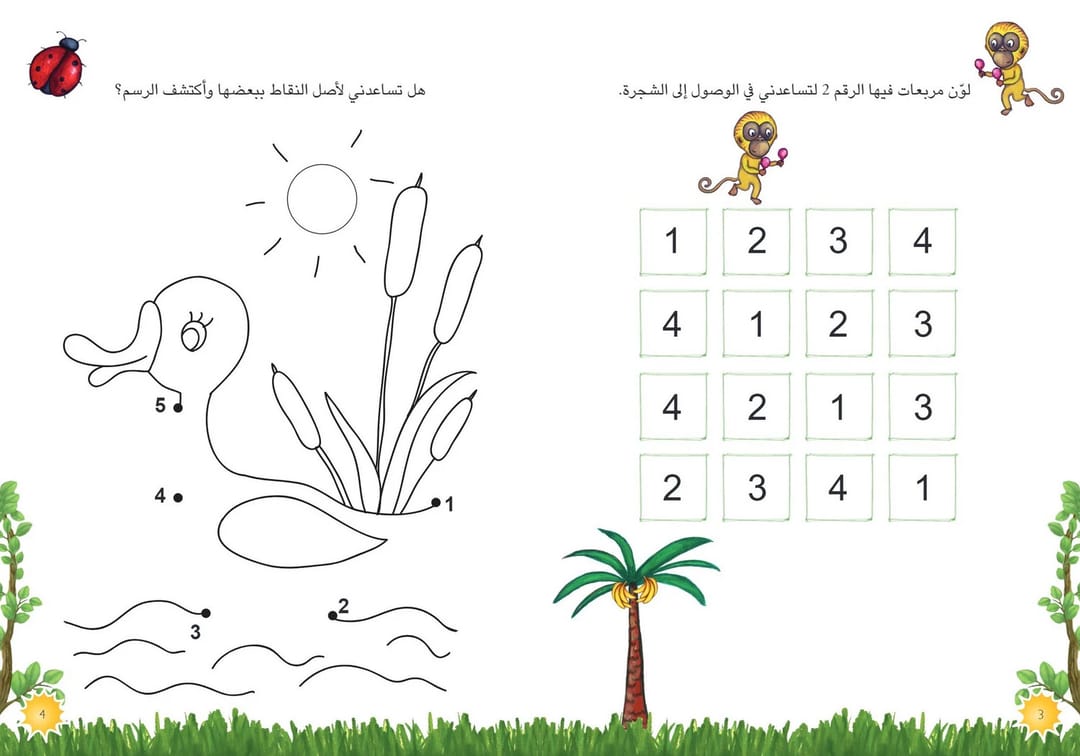 Numbers and Activities - 3