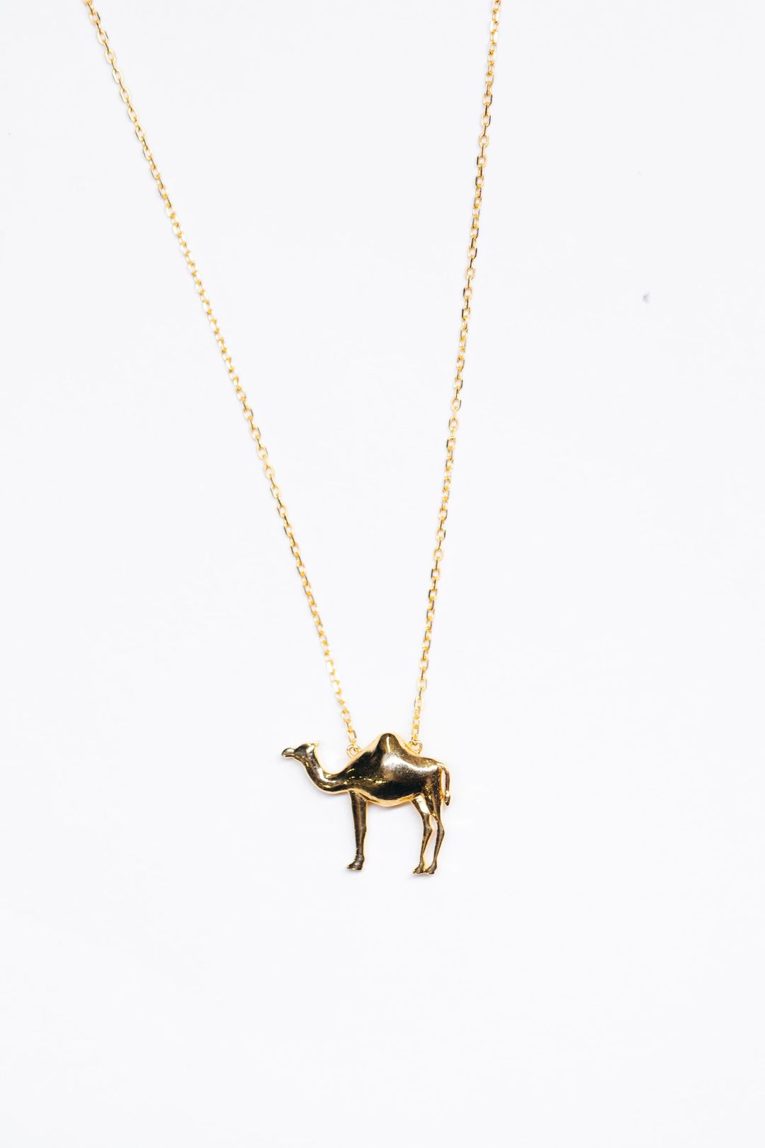 The Camel Necklace - 1