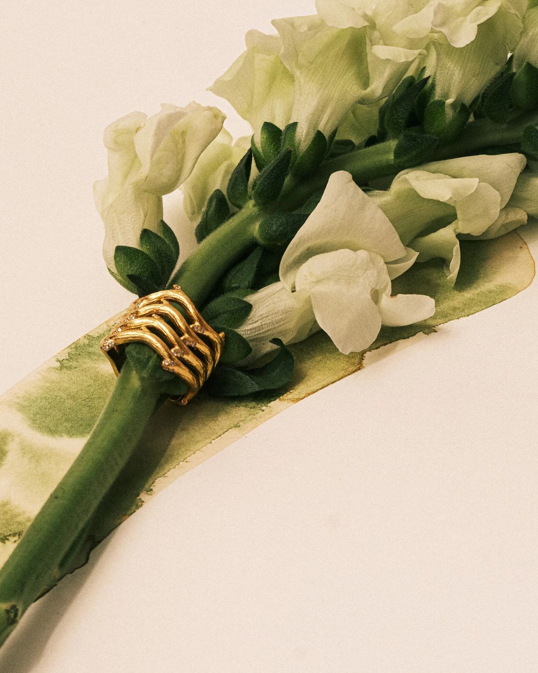 TWIG Entwined Ring - 1