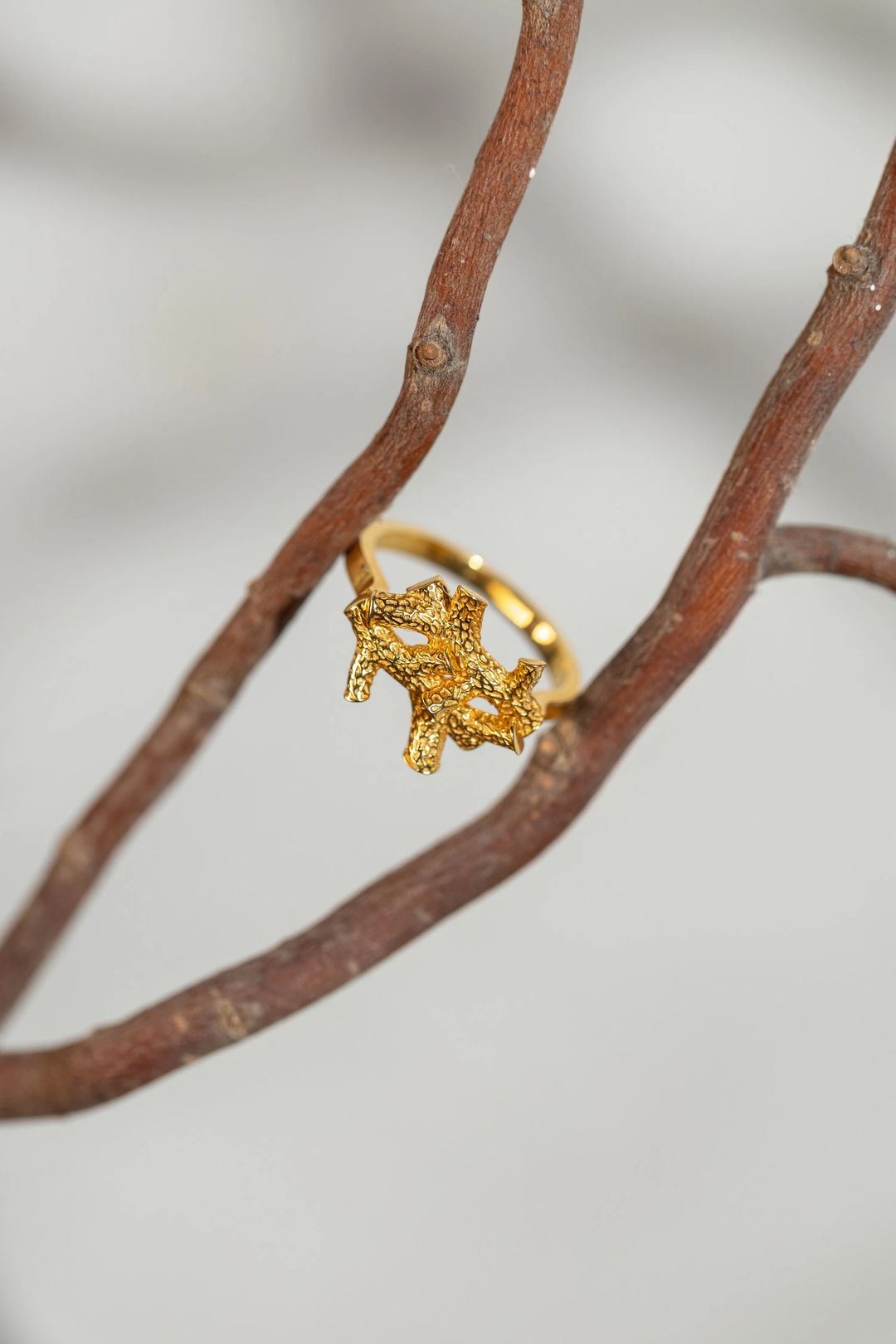 TWIG Ring – Petite - 1