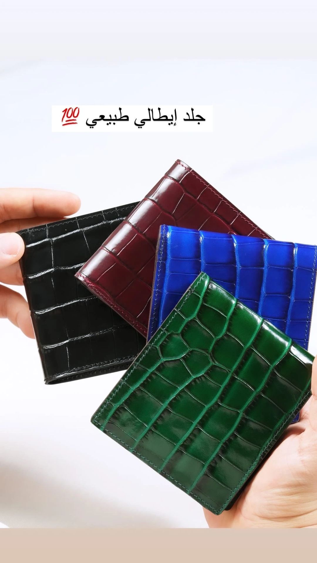 CROCO Green - 6