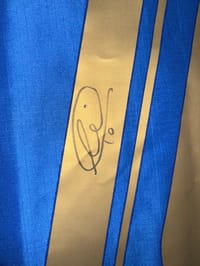 FRANSESCO TOTTI SIGNED 2009 ITALY JERSEY (BECKETT) thumb 7
