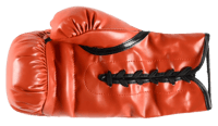 Sugar Ray Leonard & Thomas Hearns Signed Boxing Glove (JSA) thumb 4