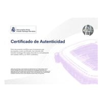 ORIGINAL SANTIAGO BERNABEU STADIUM SEAT thumb 7
