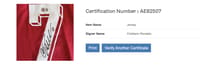 Cristiano Ronaldo Signed 2024 portugal Jersey (Beckett) thumb 8