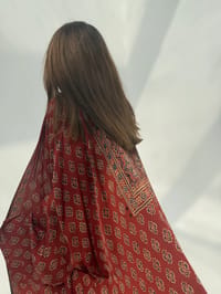 Bisht Pure Silk Handblock Abaya C15 thumb 3