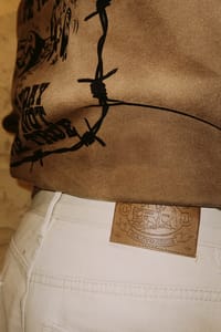 Signature Stripe Work Pant thumb 6
