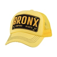 Bronx NY Empire State Yellow thumb 5