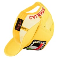 UAE Land Yellow thumb 4