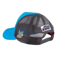 Limited Edition No 3 Blu/Blu/Gry thumb 3