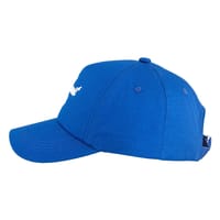 Kuwait Logo Blue COT thumb 2