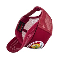 State of Qatar Full Maroon thumb 4