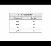 Dress with feathers (light Green) thumb 3
