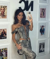 Corset snake Gray thumb 1