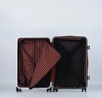 Departure luggage thumb 6