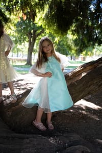 Fairy Dust thumb 5