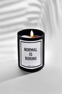 Normal Is Boring thumb 1