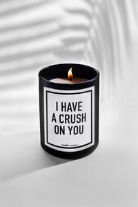 I Have A Crush On You thumb 1