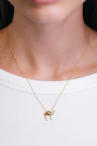 The Camel Necklace thumb 3