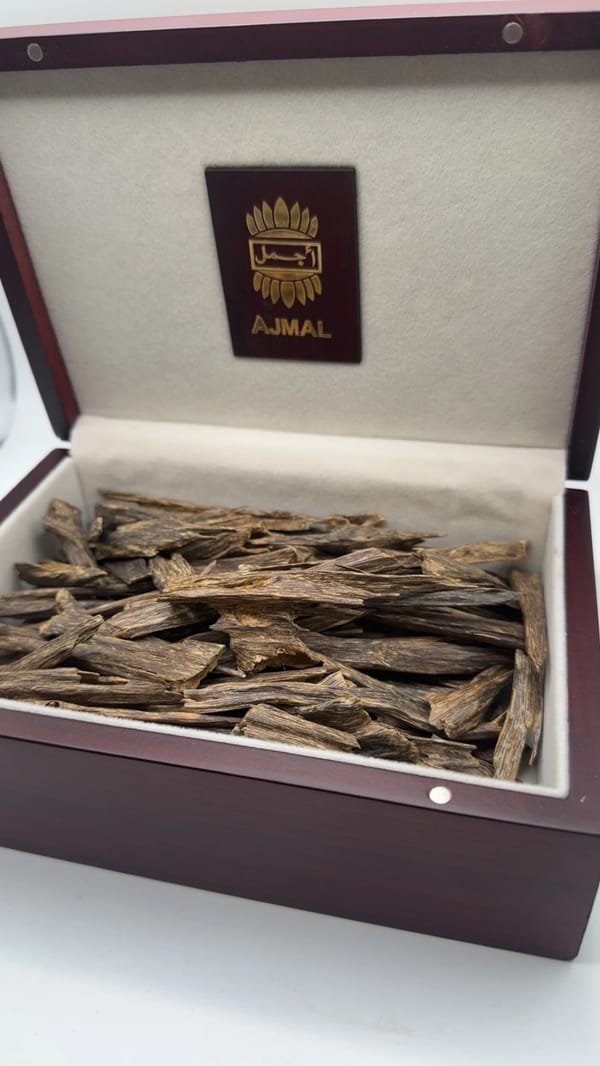 عود بركه اجمل