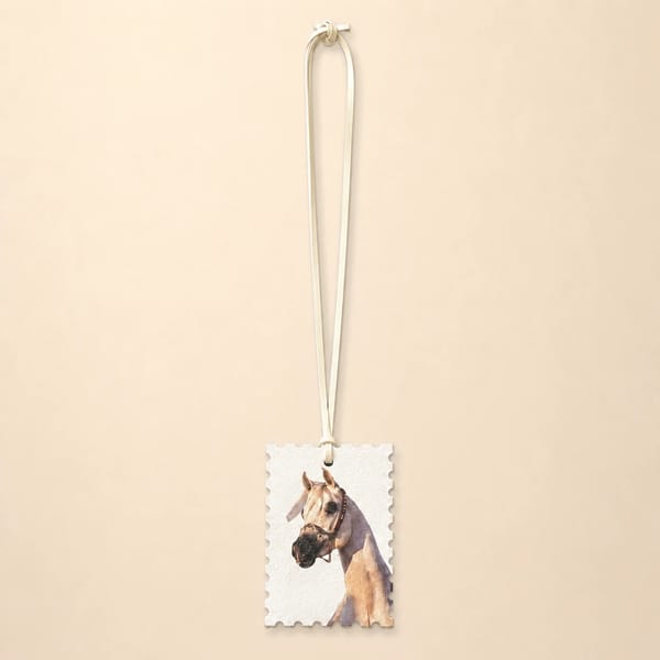 Equestrian Portrait Hanger