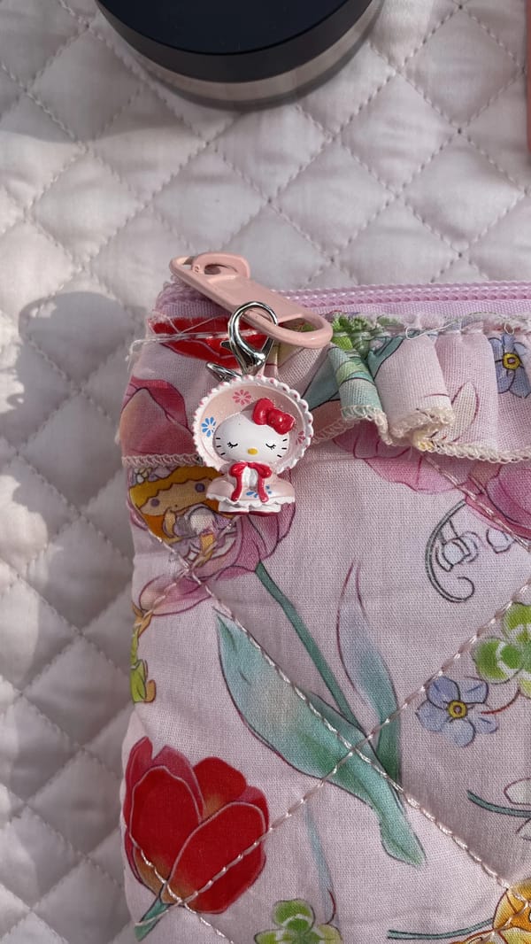 Fairy Sanrio touch up pouch🧚‍♀️
