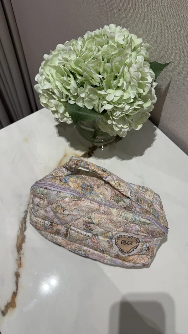 Fairytale makeup pouch 🧚🏼‍♀️🫧💌